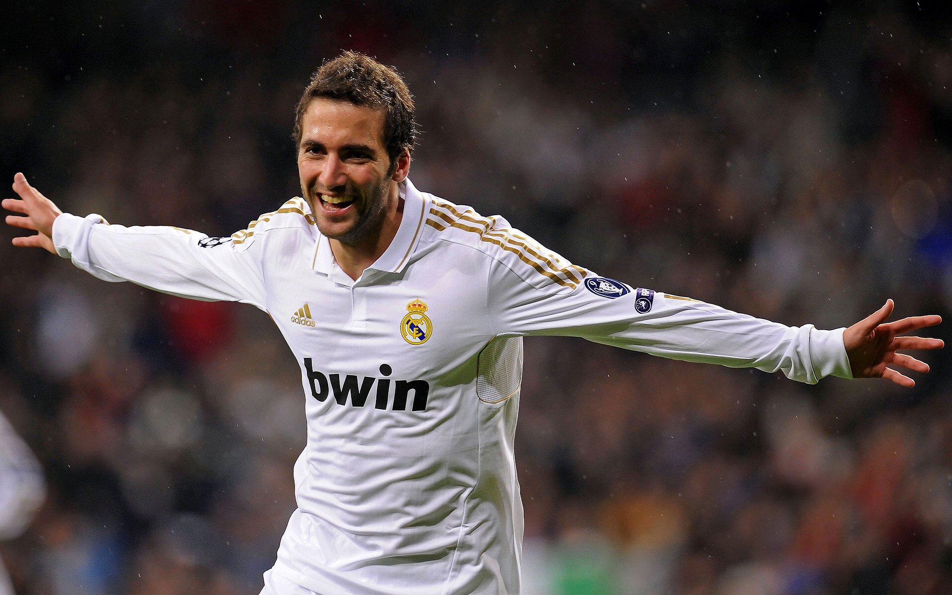 丛林法则，当喀麦隆的狂野吞噬新西兰的秩序